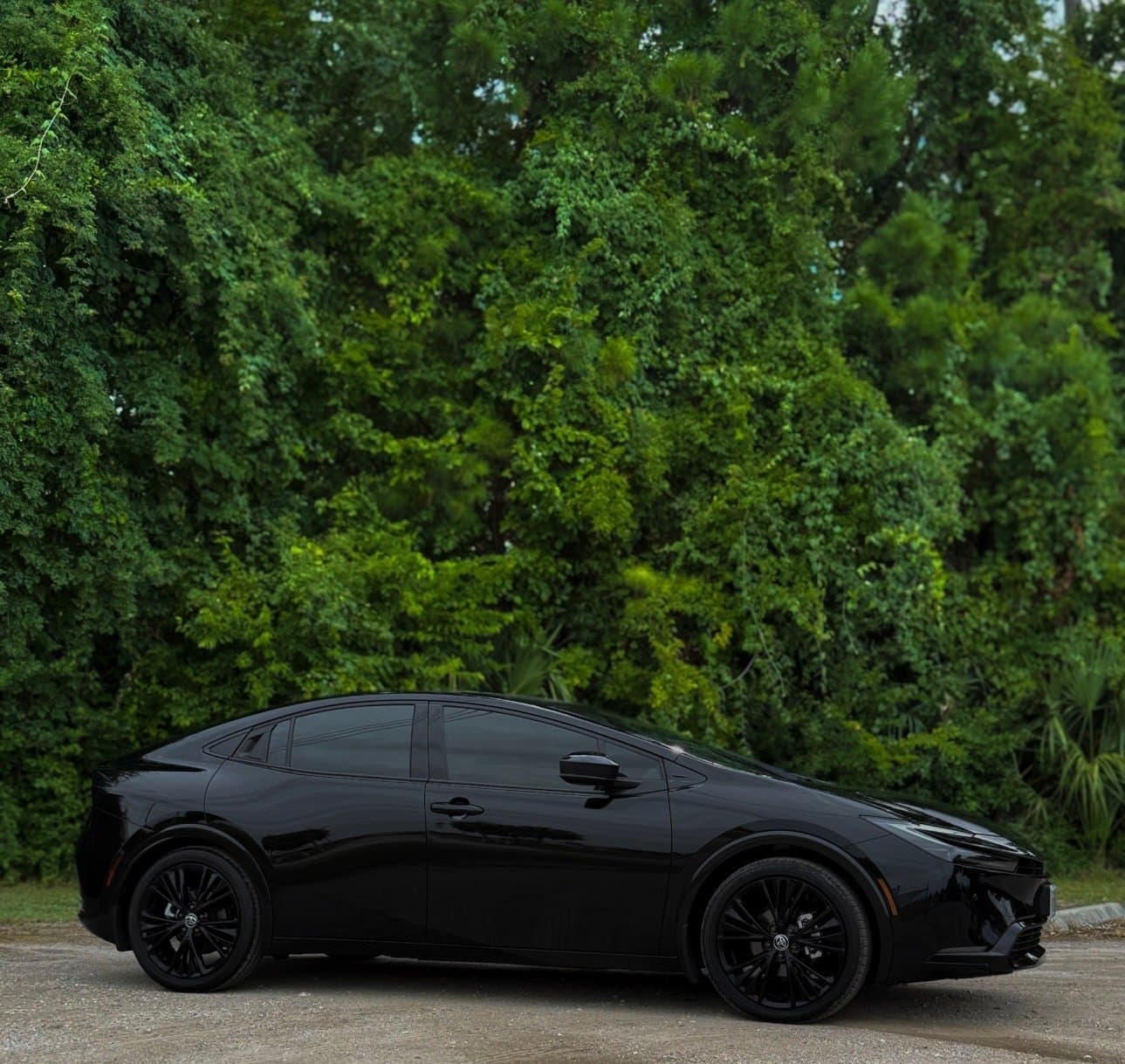 2025 Toyota Prius Nightshade - Image 2